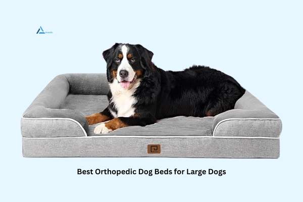 EHEYCIGA Orthopedic Dog Bed – XL Waterproof Memory Foam Bed with Sides