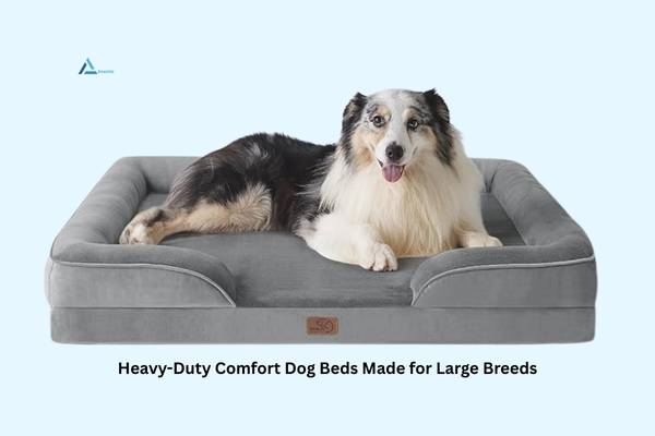 Bedsure Orthopedic Dog Bed – Large Washable Sofa-Style Pet Bed