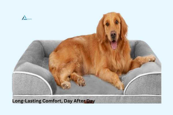 Dog Beds