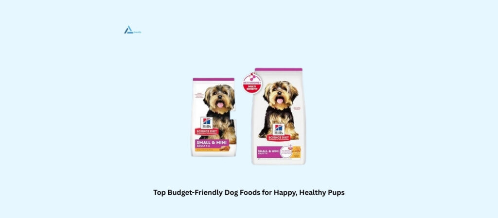 Best Cheap Dog Food