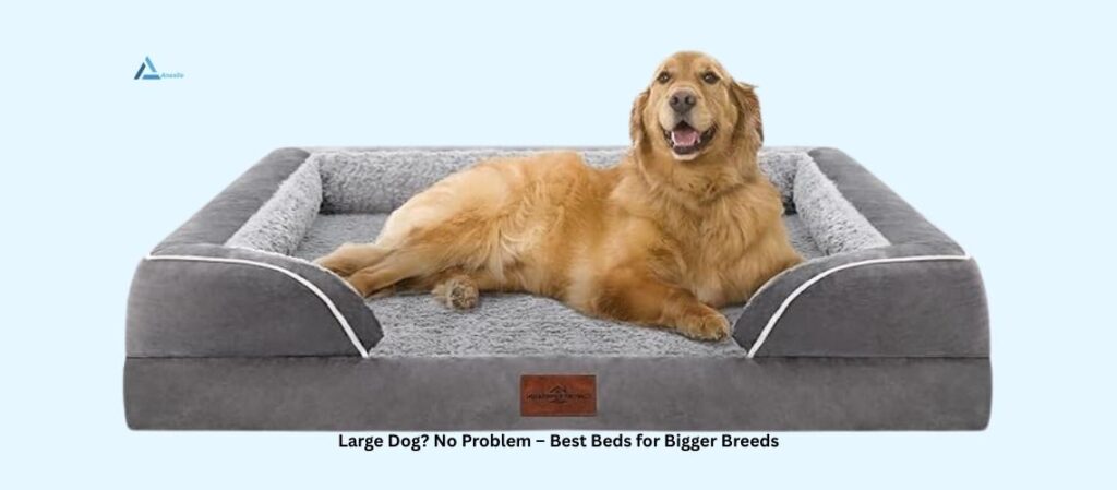 Best Dog Beds for Large Dogs