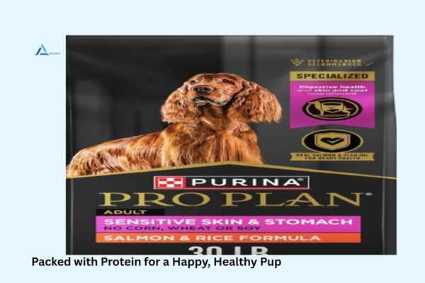 Dog Foods